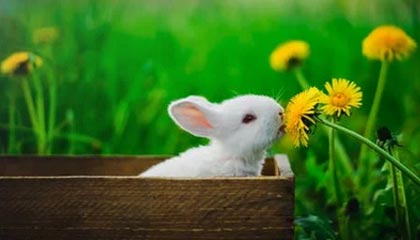 开云下载-刀光剑影：双方实力对比让人不禁为之动容，刀光剑影现场